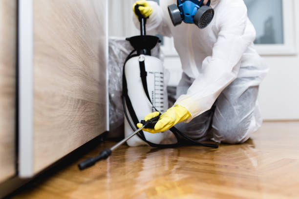 Best Local Pest Control Services  in Muleshoe, TX