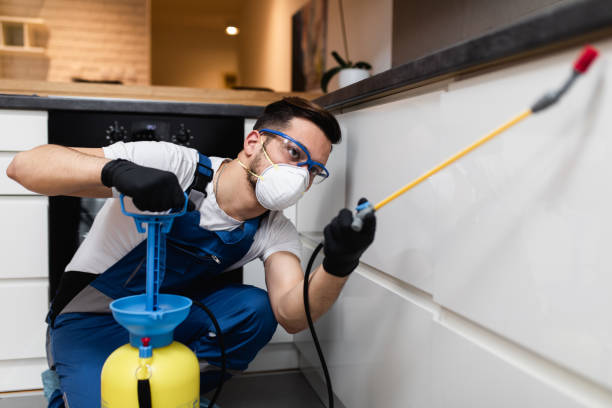 Best Ant Control Services  in Muleshoe, TX
