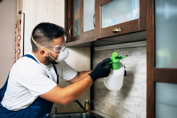 Best Bed Bug Extermination  in Muleshoe, TX
