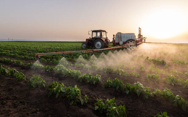 Best Commercial Pest Control Services  in Muleshoe, TX