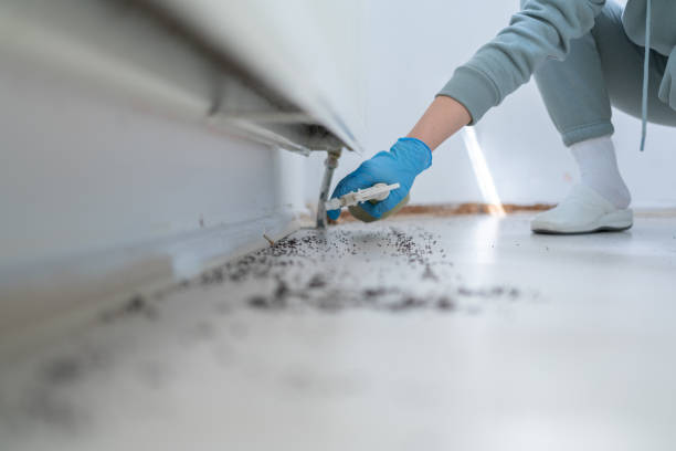 Best Pest Prevention Services  in Muleshoe, TX