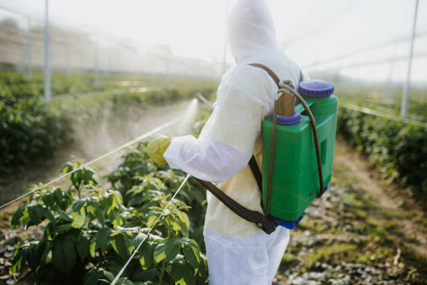 Best Wasp Removal Services  in Muleshoe, TX